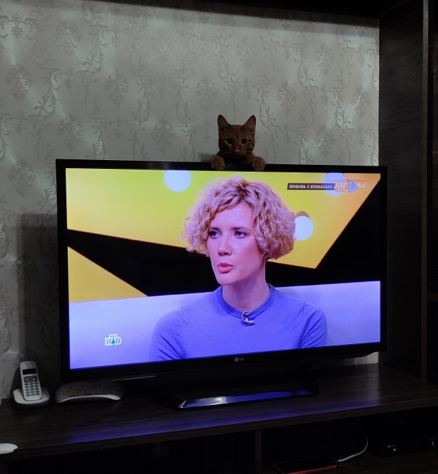 Котовторниковское