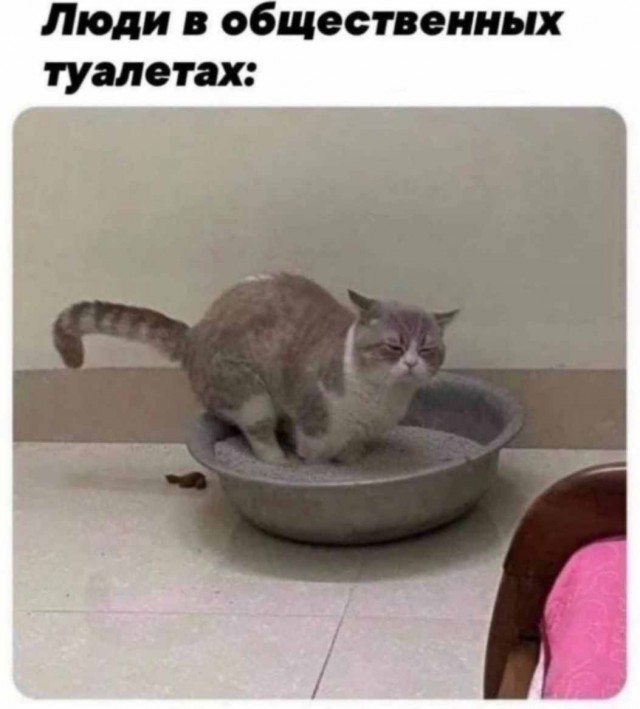 ГовноТема, для деградантов