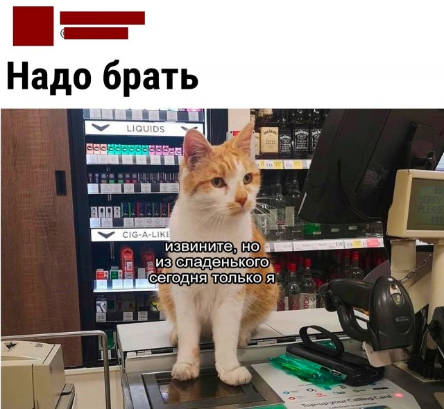 Так себе картинки 16.04.22
