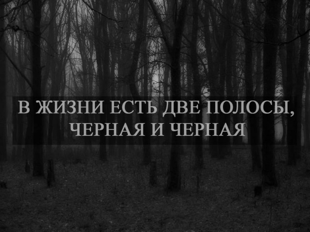 Чёрно-пошлая деградация на вторник