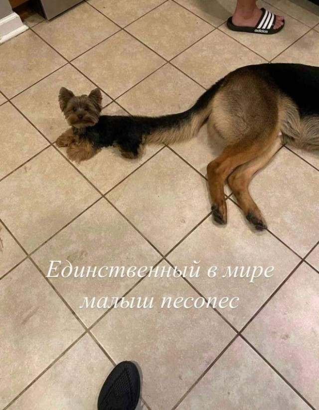 Картинки и мемы для настроения - 03