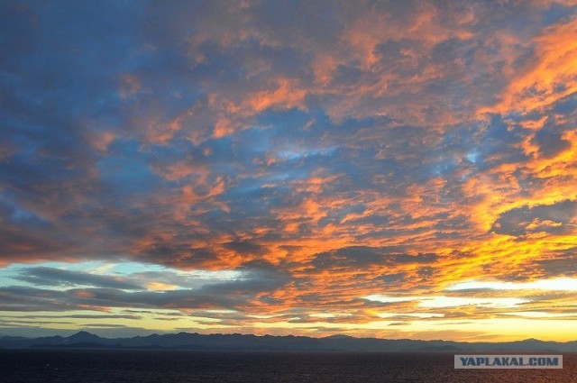 Любовь с первого взгляда