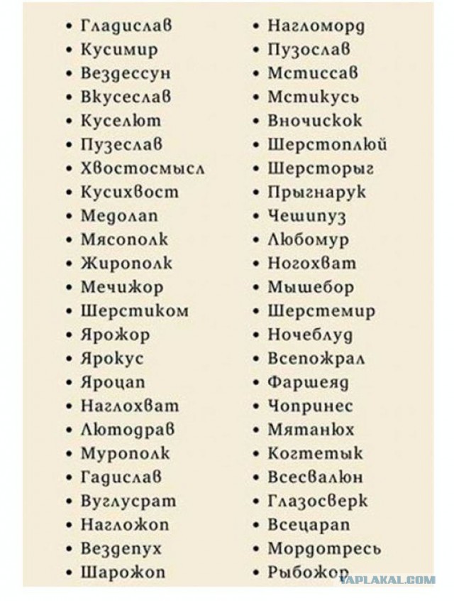 Дадим имя коту!?