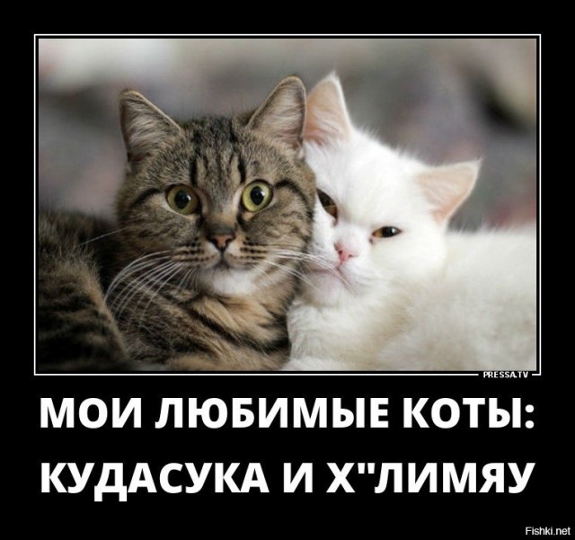 Помогите выбрать имя Госпоже.