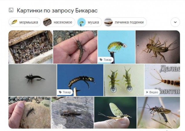 Забавные шутки и картинки из этих ваших интернетов 04.10.2022
