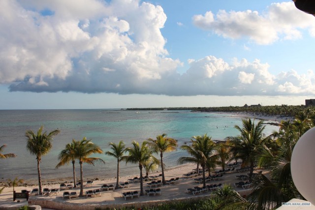 Поездка в Мексику (за деньги)