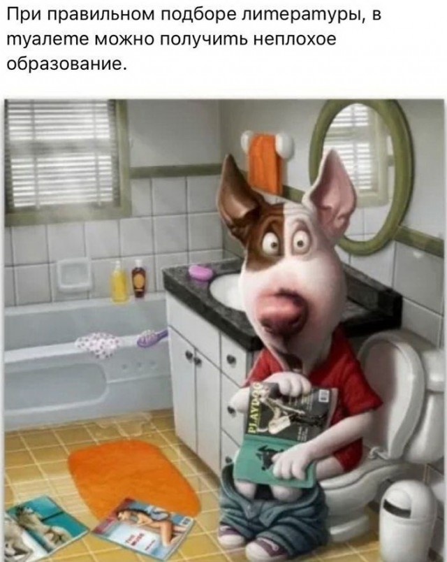 Немного картинок для настроения - 117