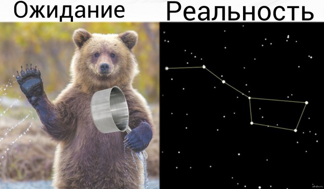 Как найти тихоходку