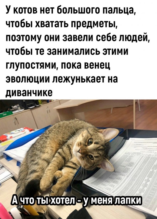 Так себе картинки 05.03.23