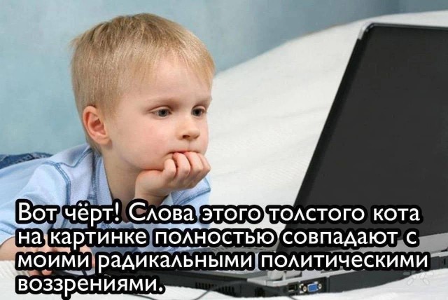 Победная поступь идиотизма по планете – том 12