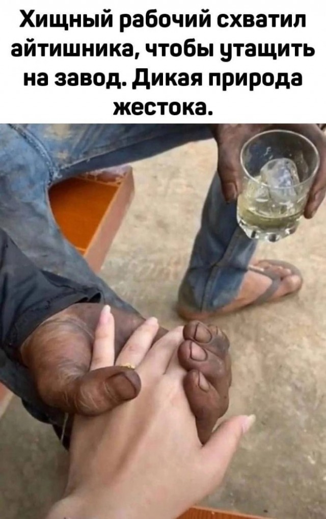 Картинки и мемы, всем хороших выходных