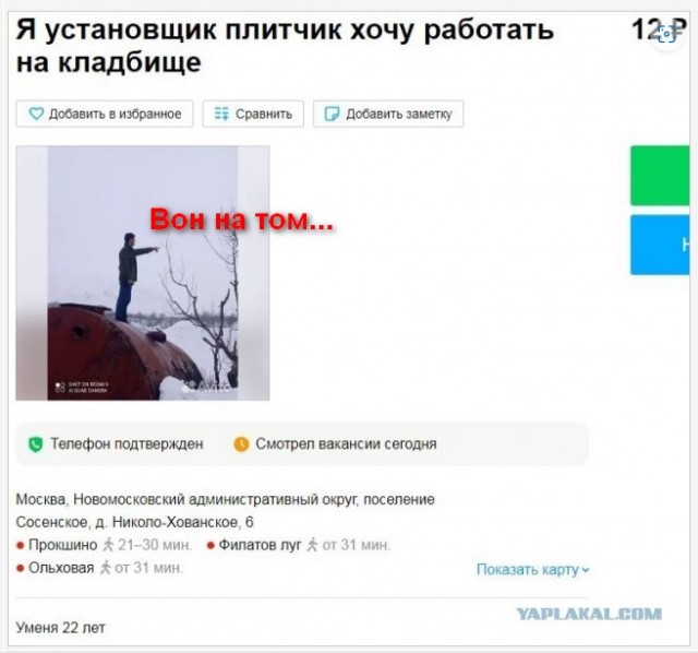 Перлы с одного сайтика