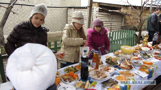 Крым в феврале или "Не стреляйте в белых лебедей!"