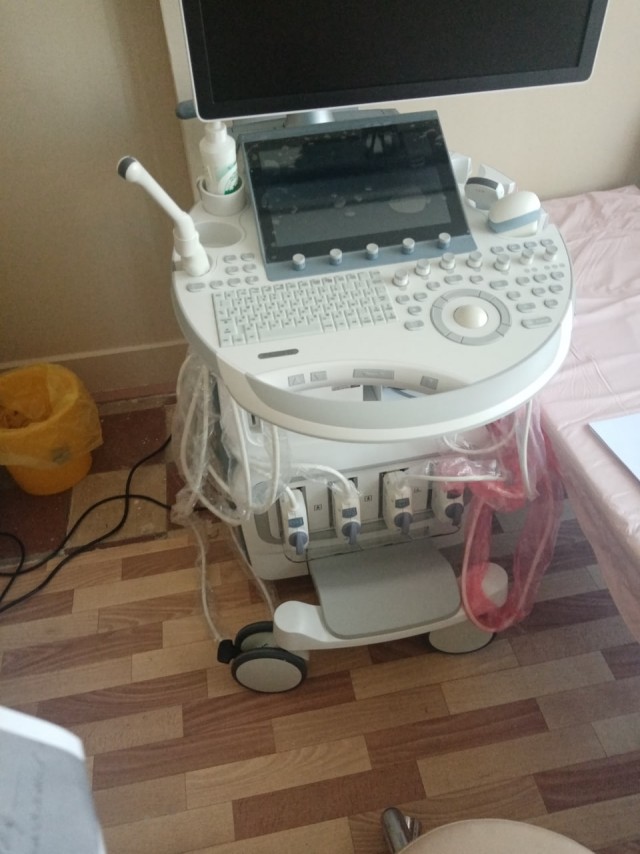 Массовое отравление собак