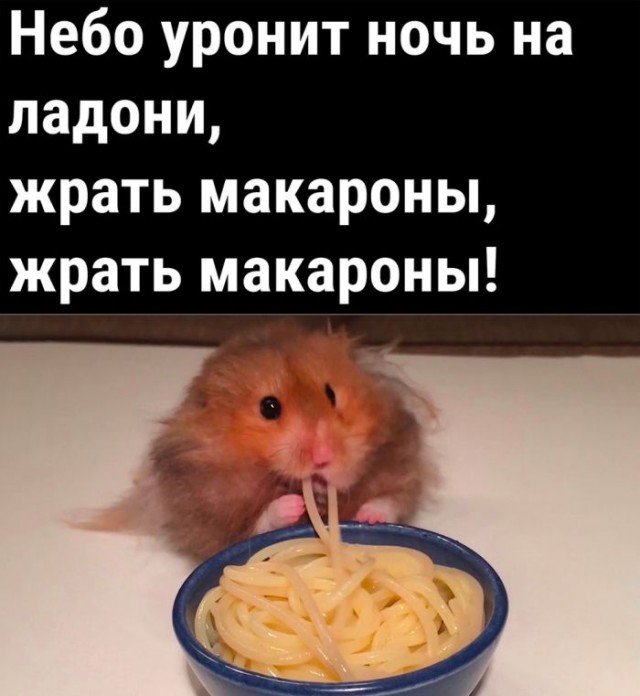 67 разных картинок для настроения - 7