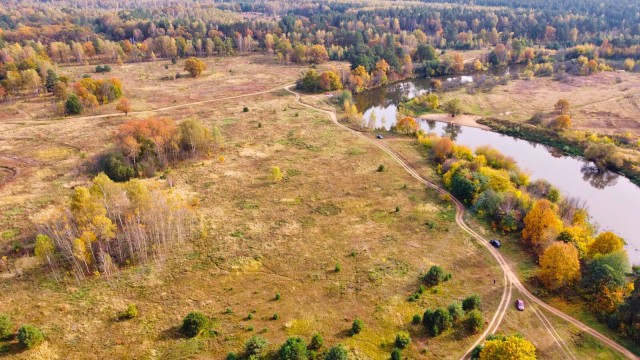 Краски осени