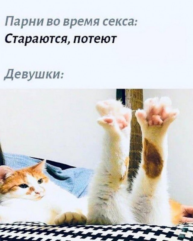 Всего понемногу. От 10.11.23