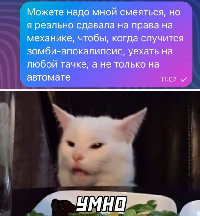 Весёлый полтишок 06.02.24