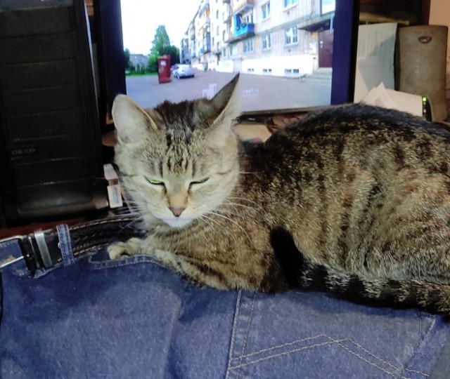 Сборник рассказов ЯПовских авторов. Обсуждение проблемы.