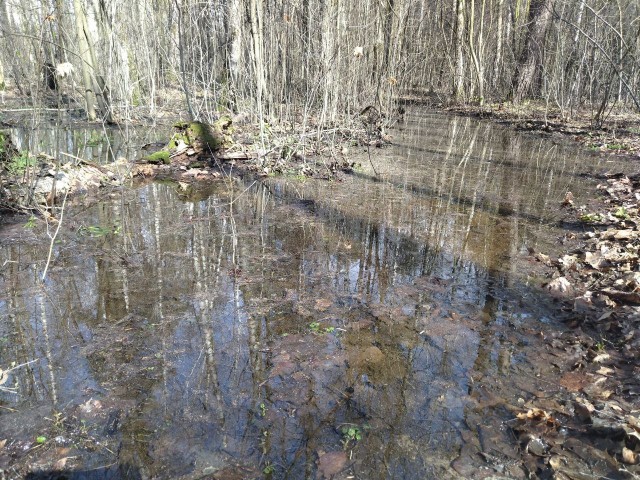 Литературная беседка