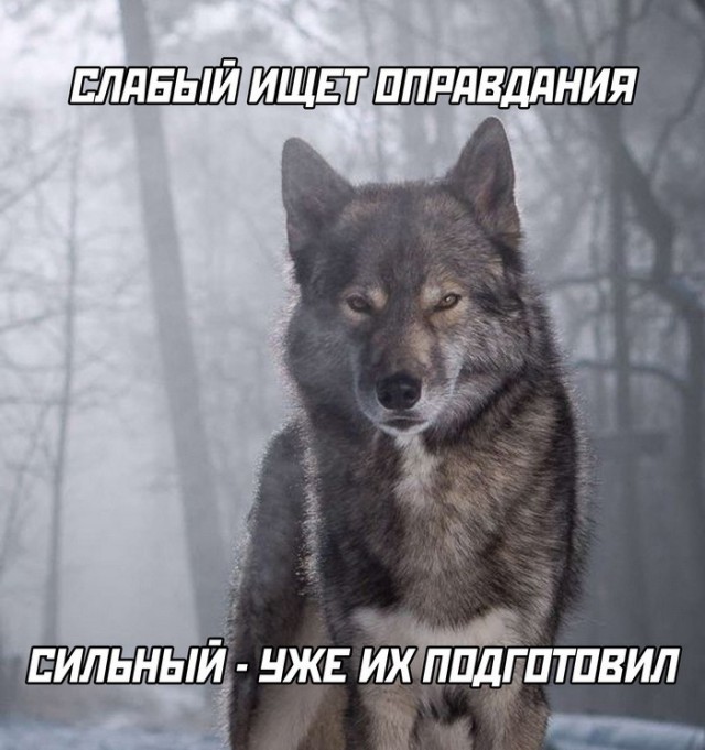 ТРРРидцать тРРРи от 7 мая