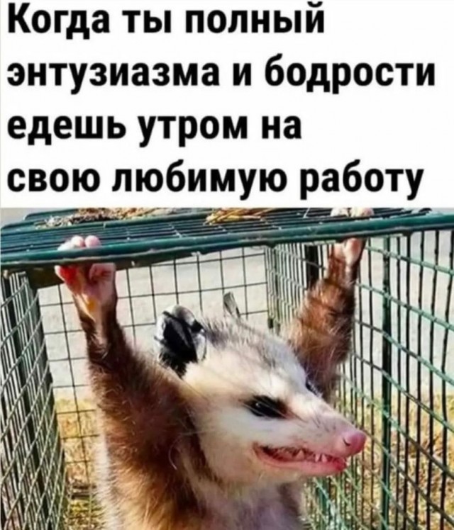 Завалялось тут случайно немного забавных картинок