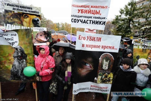 Догхантеров хотят сажать на три года