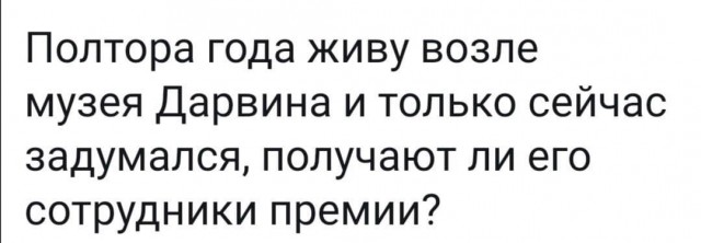 Так себе картинки 16.07.24