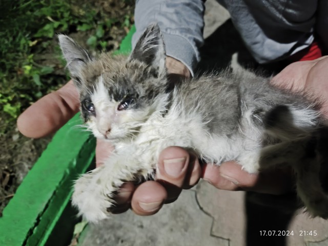 Лечу прикормыша...