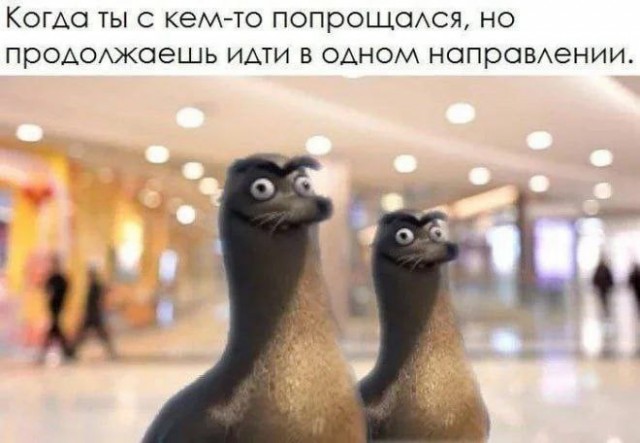Завалялось тут случайно немного забавных картинок