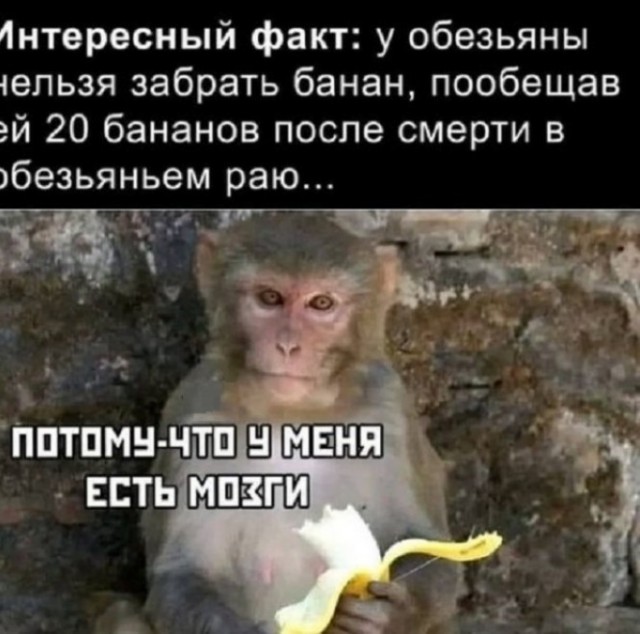 Картинки разные с надписями и без