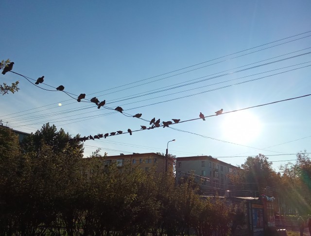 Пройтись по центру