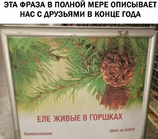 Немного забавных картинок от 22.12.24