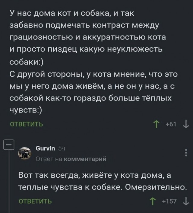 Так себе картинки 17.02.25