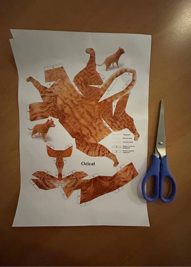 Если не знаете чем порадовать себя на работе