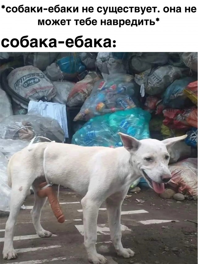 Ну что, господа. Послепраздничная дичь