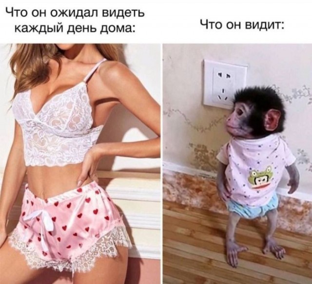 Веселое настроение в картинках (14.07.2025)