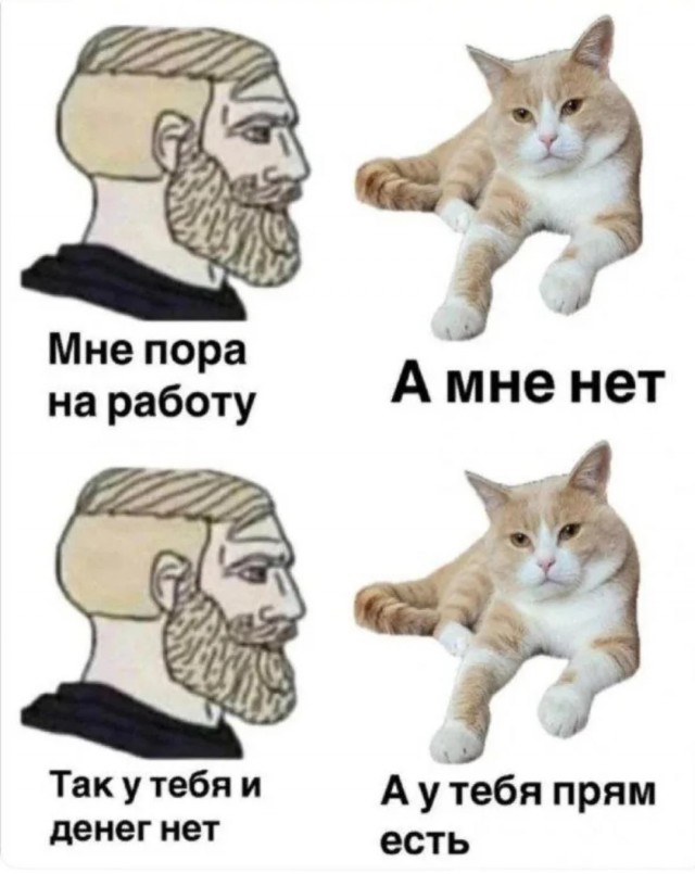 Подборка картинок-баянов с котиками и про котиков. Выпуск 21