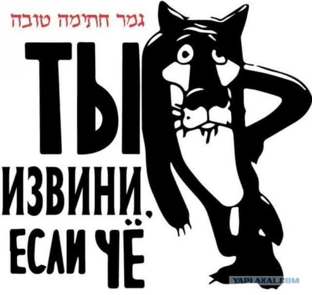 Веселые картинки в пятницу (14.11)