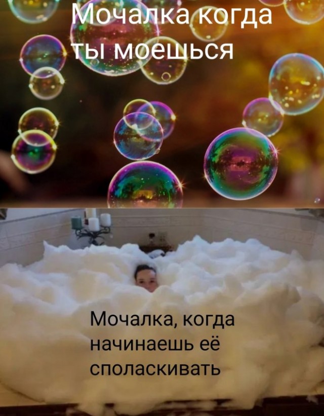 Веселые картинки в пятницу (21.11)