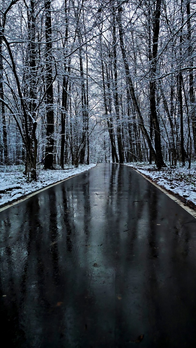 Моя мобильная фотография.