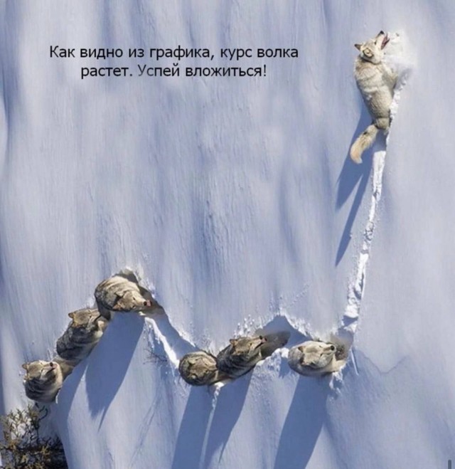 Веселые картинки _)