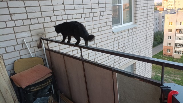 Профессионально умеет трепать нервы.