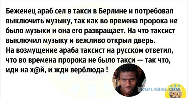 В Германии психически больной сириец два года громит один и тот же магазин