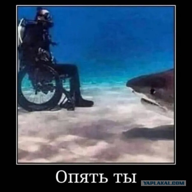 Литературная битва "ЯПлакал" против "Литбесов"