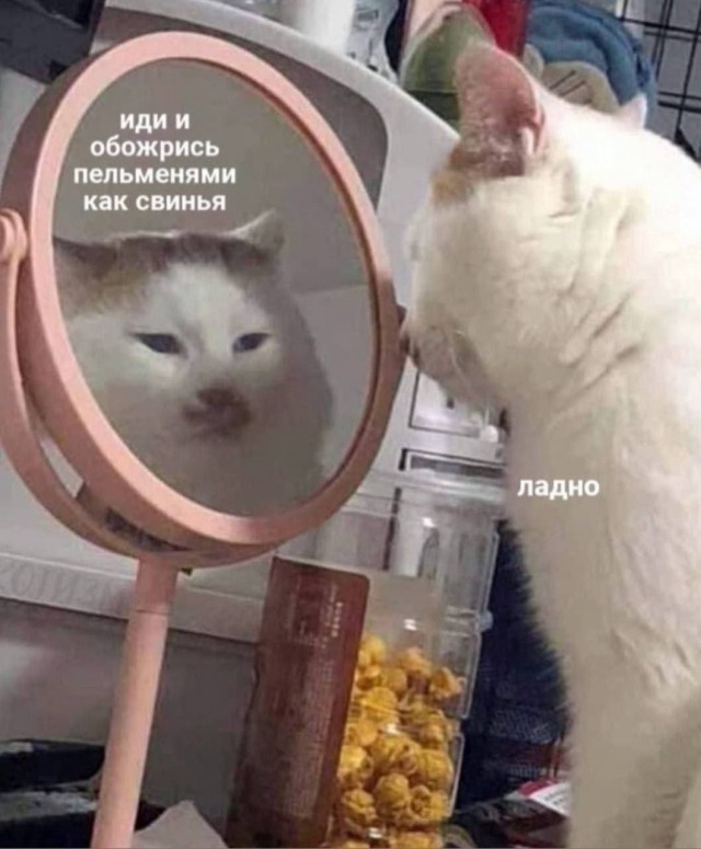 Картинки для деградации 194 (разной степени свежести)