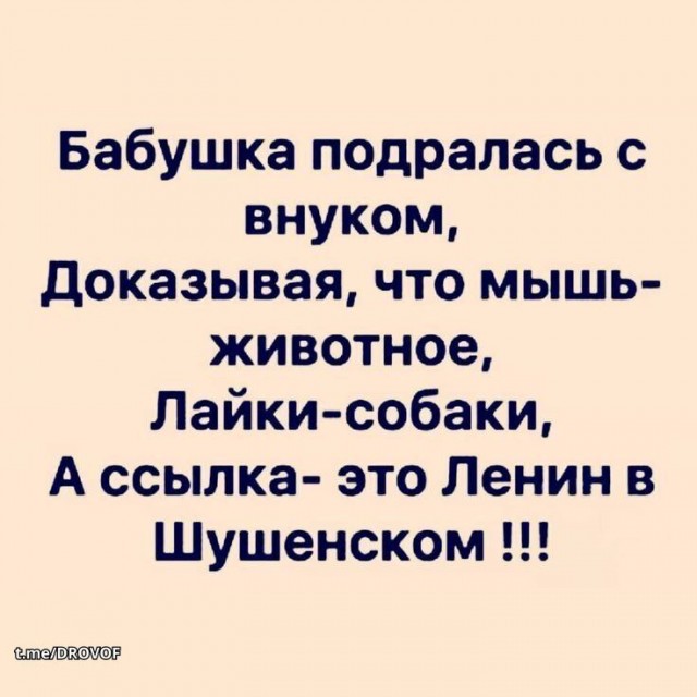 Картинки для деградации 234 (разной степени свежести)