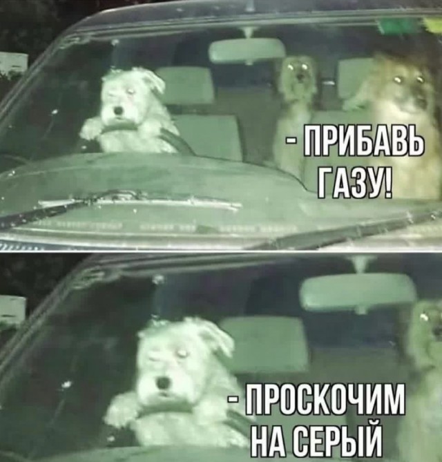 Пассажиры