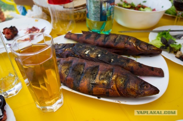 Ужасы морей и океанов