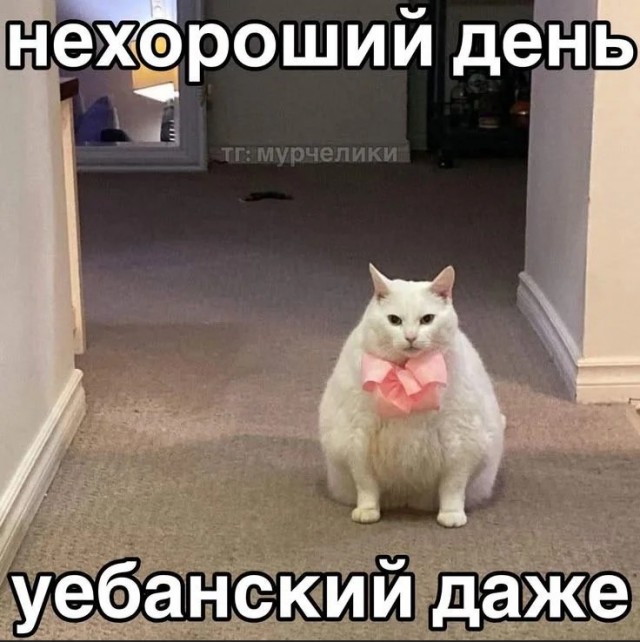 Так! Стоп!